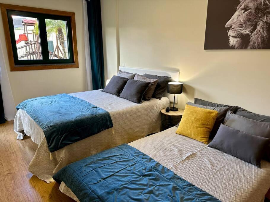 Apartamento Super Anadia - Turquesa *